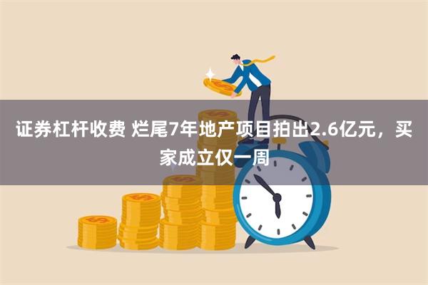 证券杠杆收费 烂尾7年地产项目拍出2.6亿元，买家成立仅一周